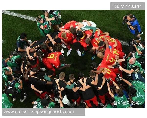 2020足球欧洲杯举办地揭晓让我们一起回顾这场盛大的足球盛宴